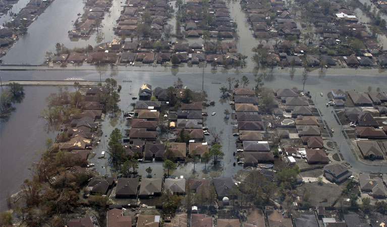 Nashville Post Disaster Survey